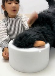 宝哥和小欠儿的2025年合集