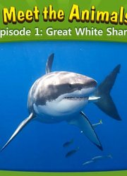 LF2MeettheAnimal