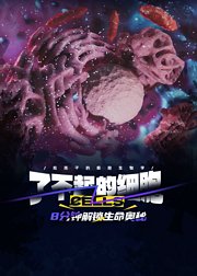 了不起的细胞