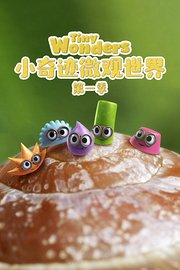 小奇迹微观世界第1季
