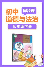 初中道德与法治同步课九年级下册