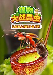 植物大战昆虫：动植物之间的斗智斗勇