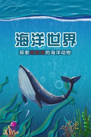 海洋世界：探索高智商的海洋动物