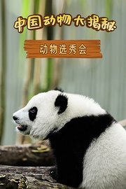 中国动物大揭秘之动物选秀会