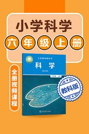 小学科学教科版六年级上册全册视频课程