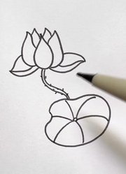 虾米爱画画的2025年合集1