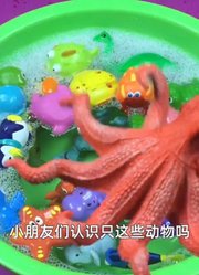 有趣儿童动画1的2025年合集