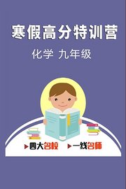 寒假高分特训营：化学九年级