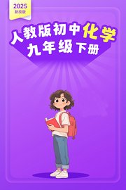 2025新改版人教版初中化学九年级下册