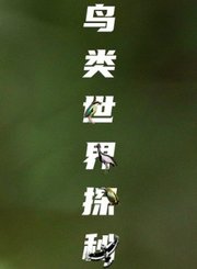 科普中国鸟类世界探秘