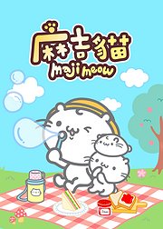 麻吉猫