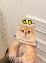 小萱日常