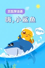 贝瓦学法语：嗨，小鲨鱼