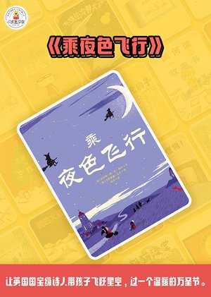 乘夜色飞行