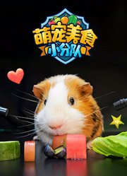 萌宠美食小分队
