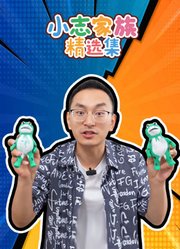 小志家族精选集
