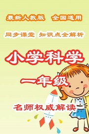 小学科学一年级同步课堂知识点全解析