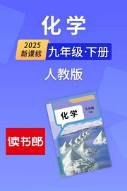 2025新课标化学九年级下册人教版