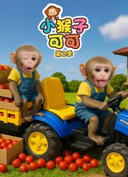 小猴子可可第2季