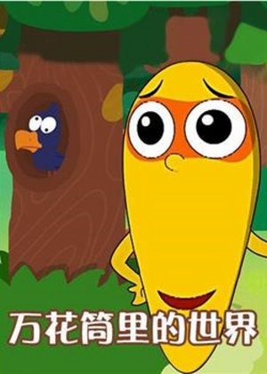 万花筒里的世界