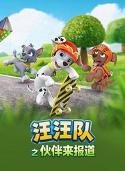 汪汪队之伙伴来报道