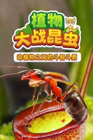 植物大战昆虫