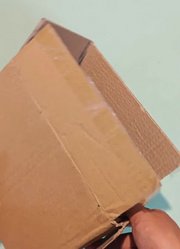 辽阔风云体育的2026年合集