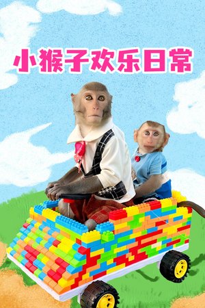 小猴子欢乐日常