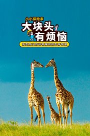 大块头有烦恼：体型庞大的动物展现的生存智慧