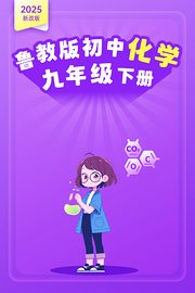 2025新改版鲁教版初中化学九年级下册