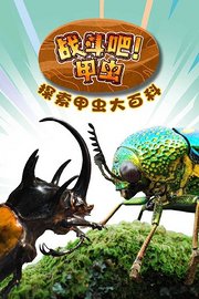 战斗吧！甲虫：探索甲虫大百科