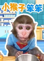 小猴子笨笨