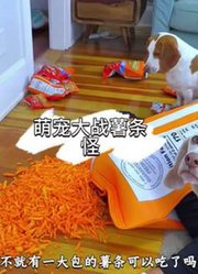 .小白啊的2025年合集1