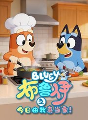 布鲁伊之今日由我来当家
