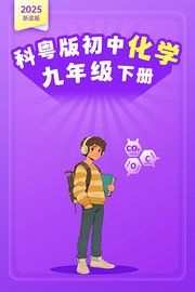 2025新改版科粤版初中化学九年级下册