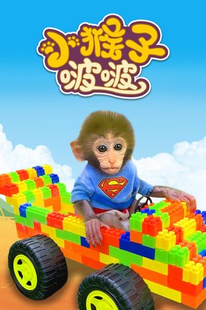 小猴子啵啵