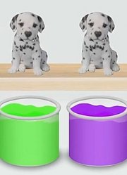 把可爱的小狗狗放进染料桶里变颜色学习颜色和英语