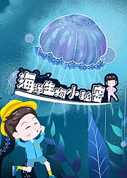 小小探险家：海洋生物的小秘密