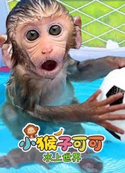 小猴子可可水上世界