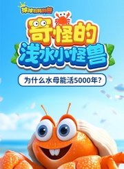 球球有料科普-奇怪的浅水小怪兽