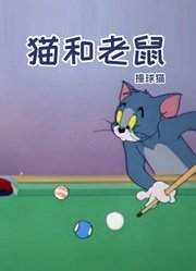 猫和老鼠撞球猫