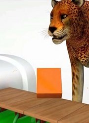 益智动画：豹子吃了不同的冰淇淋后改变了颜色，少儿认识形状