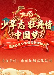 菏泽市青少年春晚—山东凤舞艺术培训学校