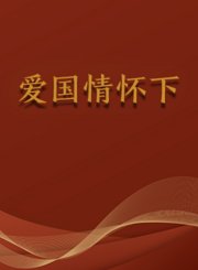 爱国情怀下