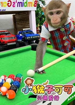 小猴子可可兴趣爱好
