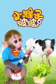 小猴子啵啵第6季