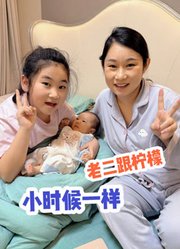 你好仲文的2026年合集