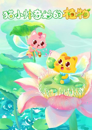 猫小帅奇妙的植物