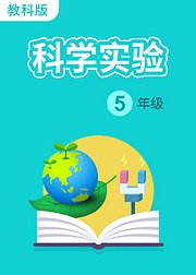 科学实验五年级