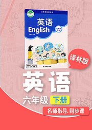 六年级译林版英语下册小学英语同步学习